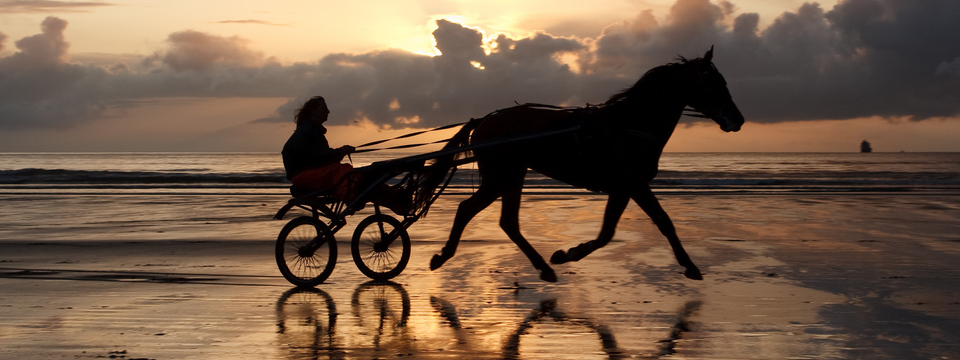 Harness Racing